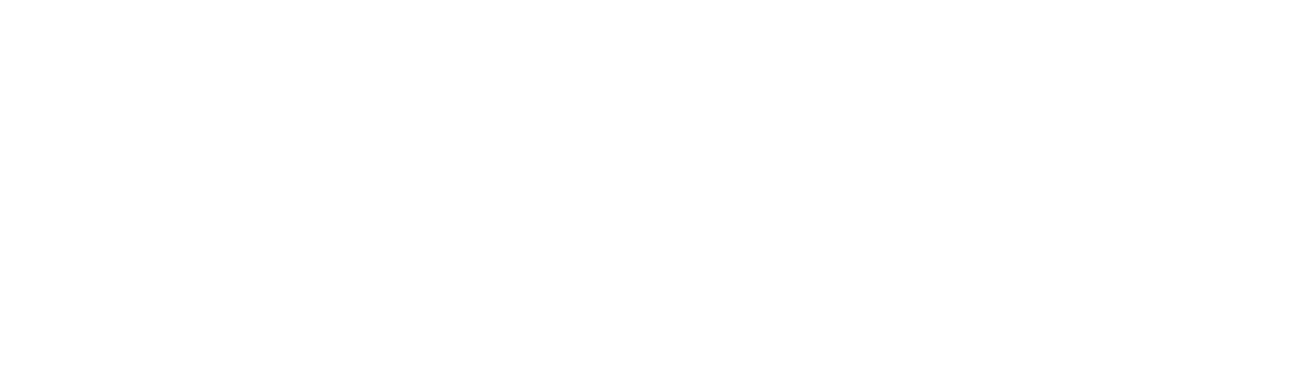 Rhino IT